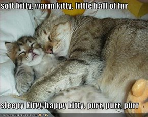soft kitty, warm kitty, little ball of fur  sleepy kitty, happy kitty, purr, purr, purr