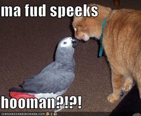 ma fud speeks  hooman?!?!