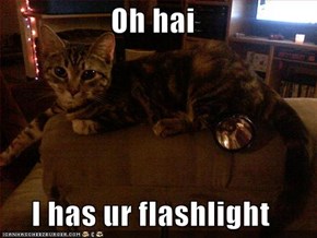 Oh hai  I has ur flashlight