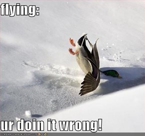 flying:  ur doin it wrong!