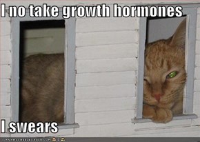 I no take growth hormones  I swears