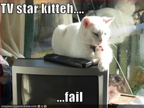 TV star kitteh....  ...fail