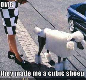 OMG  they made me a cubic sheep