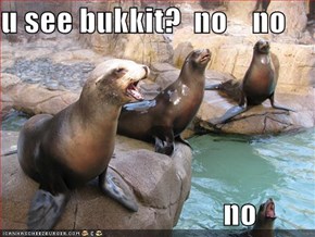u see bukkit?  no    no                                      no