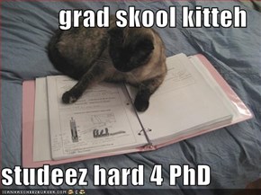 grad skool kitteh  studeez hard 4 PhD