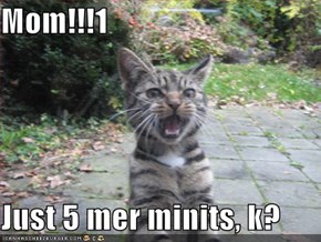 Mom!!!1  Just 5 mer minits, k?