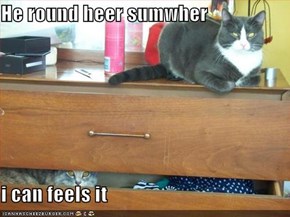He round heer sumwher  i can feels it