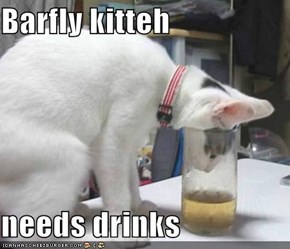 Barfly kitteh  needs drinks
