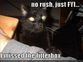 no rush, just FYI...  I missed the litterbox