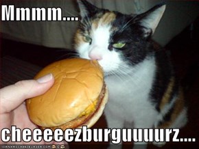 Mmmm....  cheeeeezburguuuurz....