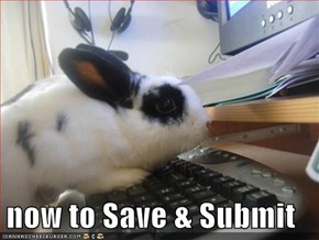 now to Save & Submit