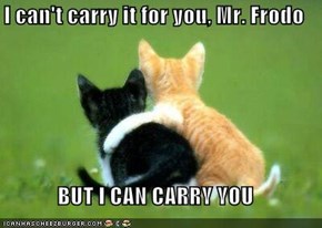 I can't carry it for you, Mr. Frodo  BUT I CAN CARRY YOU