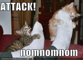 ATTACK!  nomnomnom