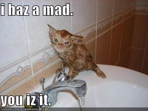 i haz a mad.  you iz it.
