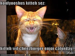 konfyooshus kitteh sez:  kitteh wif cheezburger enjoi caturday