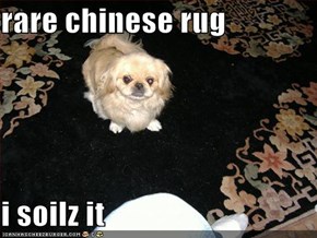 rare chinese rug  i soilz it