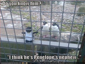"Do you know him?"  "I think he's Penelope's nephew..."