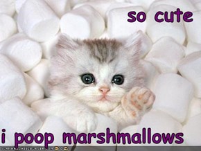 so cute  i poop marshmallows
