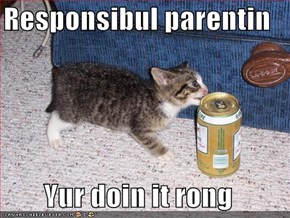 Responsibul parentin  Yur doin it rong