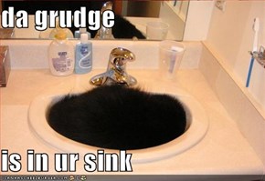 da grudge  is in ur sink