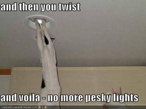 and then you twist  and voila - no more pesky lights