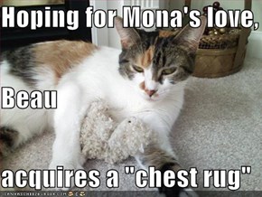 Hoping for Mona's love, Beau acquires a "chest rug"