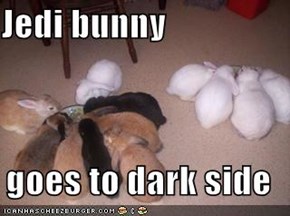 Jedi bunny  goes to dark side