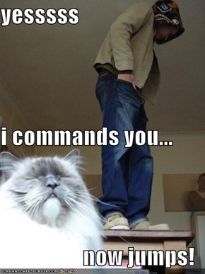 yesssss i commands you... now jumps!