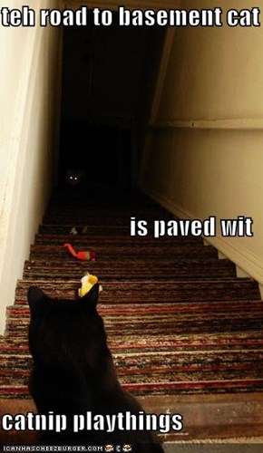 teh road to basement cat is paved wit catnip playthings
