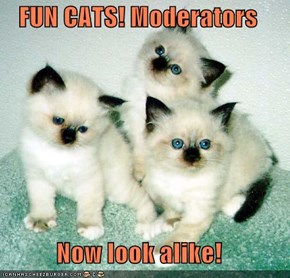 FUN CATS! Moderators  Now look alike!