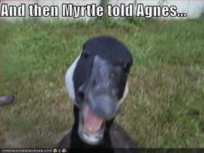 And then Myrtle told Agnes...