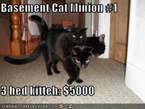 Basement Cat Minion #1  3 hed kitteh: $5000