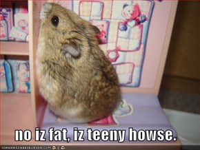no iz fat, iz teeny howse.
