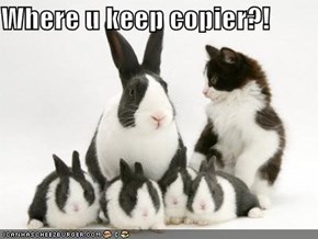 Where u keep copier?!