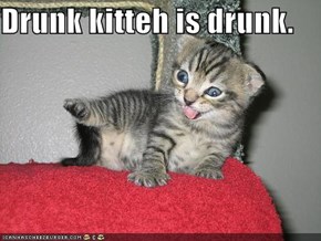 Drunk kitteh is drunk.