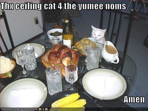 Thx ceiling cat 4 the yumee noms  Amen