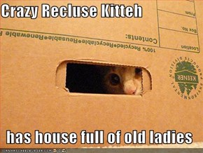 Crazy Recluse Kitteh  has house full of old ladies