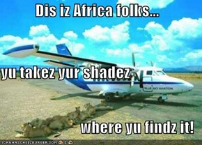 Dis iz Africa folks... yu takez yur shadez where yu findz it!