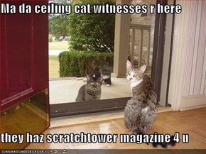 Ma da ceiling cat witnesses r here  they haz scratchtower magazine 4 u