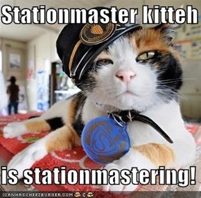 Stationmaster kitteh  is stationmastering!
