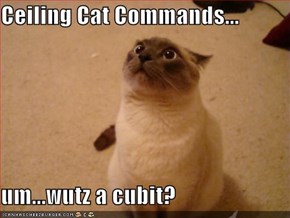 Ceiling Cat Commands...  um...wutz a cubit?