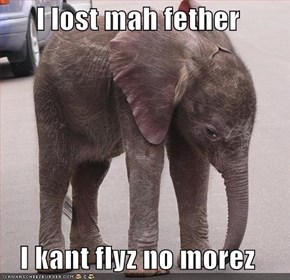 I lost mah fether  I kant flyz no morez