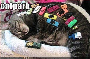 catpark