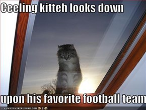 Ceeling kitteh looks down  upon his favorite football team