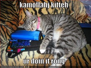 kamoflahj kitteh  ur doin it rong