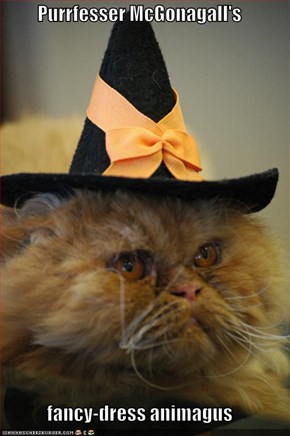 Purrfesser McGonagall's  fancy-dress animagus