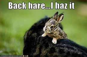 Back hare...I haz it