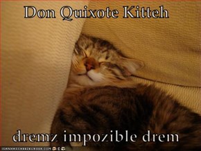Don Quixote Kitteh  dremz impozible drem