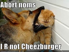 Abort noms  I R not Cheezburger