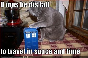 U mus be dis tall  to travel in space and time